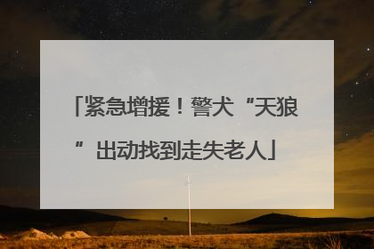 紧急增援！警犬“天狼”出动找到走失老人