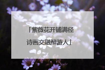 紫薇花开铺满径 诗画交融醉游人