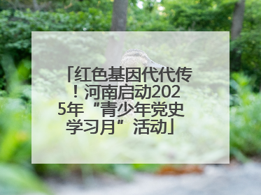 红色基因代代传！河南启动2025年“青少年党史学习月”活动