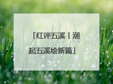 红评五溪丨潮起五溪绘新篇
