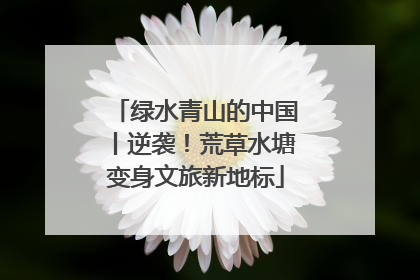 绿水青山的中国丨逆袭！荒草水塘变身文旅新地标