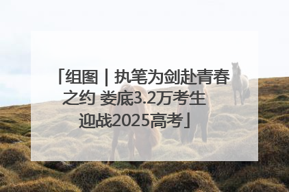 组图｜执笔为剑赴青春之约 娄底3.2万考生迎战2025高考