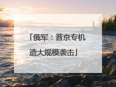 俄军：普京专机遭大规模袭击
