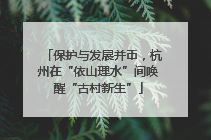 保护与发展并重，杭州在“依山理水”间唤醒“古村新生”
