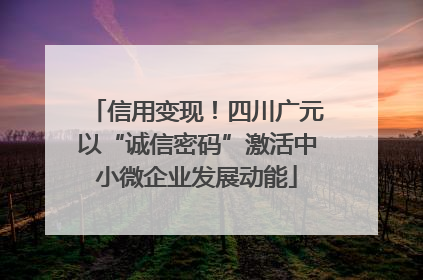 信用变现！四川广元以“诚信密码”激活中小微企业发展动能