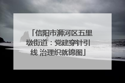 信阳市浉河区五里墩街道：党建穿针引线 治理织就锦图