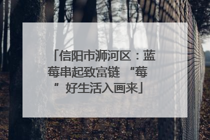 信阳市浉河区：蓝莓串起致富链 “莓”好生活入画来