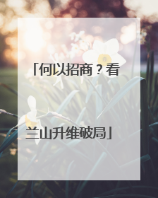 何以招商？看兰山升维破局