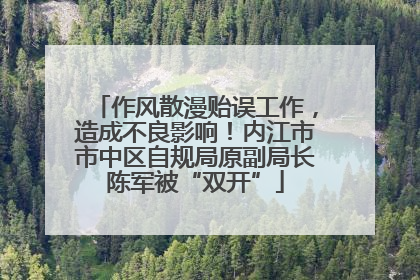 作风散漫贻误工作，造成不良影响！内江市市中区自规局原副局长陈军被“双开”
