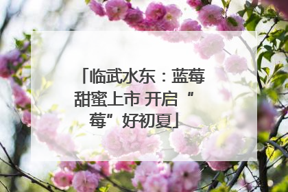 临武水东：蓝莓甜蜜上市 开启“莓”好初夏
