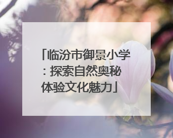 临汾市御景小学：探索自然奥秘 体验文化魅力