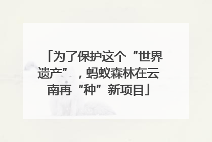 为了保护这个“世界遗产”，蚂蚁森林在云南再“种”新项目