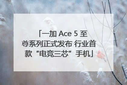 一加 Ace 5 至尊系列正式发布 行业首款“电竞三芯”手机