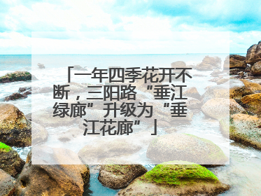 一年四季花开不断，三阳路“垂江绿廊”升级为“垂江花廊”