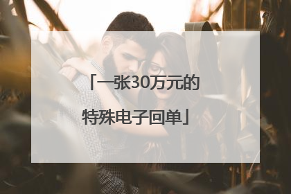 一张30万元的特殊电子回单