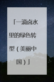 一滴卤水里的绿色转型（美丽中国）