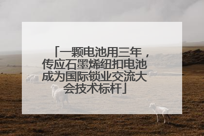 一颗电池用三年，传应石墨烯纽扣电池成为国际锁业交流大会技术标杆