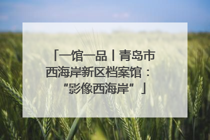 一馆一品丨青岛市西海岸新区档案馆：“影像西海岸”