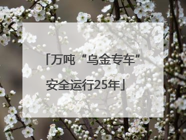 万吨“乌金专车”安全运行25年
