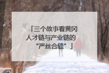 三个故事看黄冈人才链与产业链的“严丝合缝”