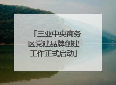 三亚中央商务区党建品牌创建工作正式启动