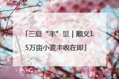 三夏“丰”景｜顺义15万亩小麦丰收在即