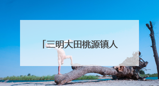 三明大田桃源镇人大：推动河流治理，筑牢生态屏障