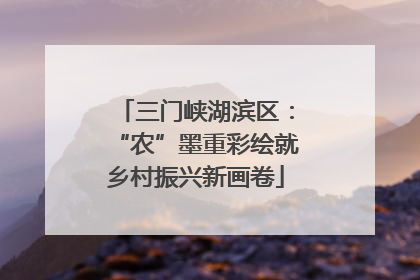 三门峡湖滨区：“农”墨重彩绘就乡村振兴新画卷