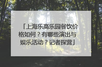 上海乐高乐园餐饮价格如何？有哪些演出与娱乐活动？记者探营