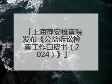 上海静安检察院发布《公益诉讼检察工作白皮书（2024）》