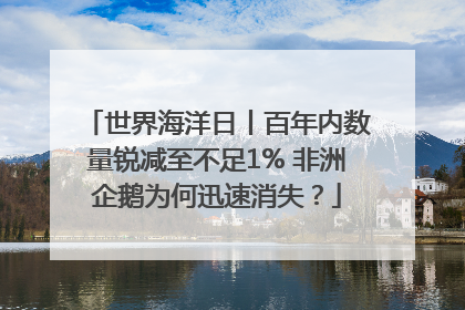 世界海洋日丨百年内数量锐减至不足1% 非洲企鹅为何迅速消失？