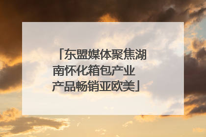 东盟媒体聚焦湖南怀化箱包产业 产品畅销亚欧美
