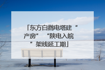 东方白鹳电塔建“产房” “陕电入皖”架线延工期