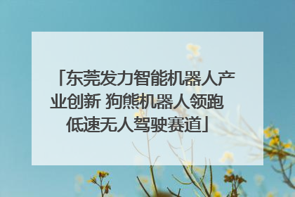 东莞发力智能机器人产业创新 狗熊机器人领跑低速无人驾驶赛道