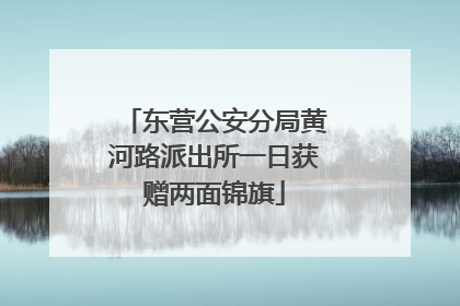 东营公安分局黄河路派出所一日获赠两面锦旗
