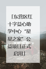 东营区红十字益心助学中心“星星之家”公益项目正式启用