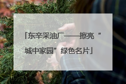 东辛采油厂——擦亮“城中家园”绿色名片