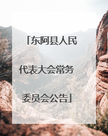 东阿县人民代表大会常务委员会公告