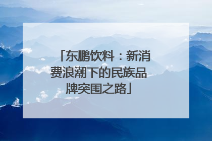 东鹏饮料：新消费浪潮下的民族品牌突围之路