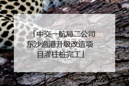 中交一航局二公司东沙渔港升级改造项目灌柱桩完工