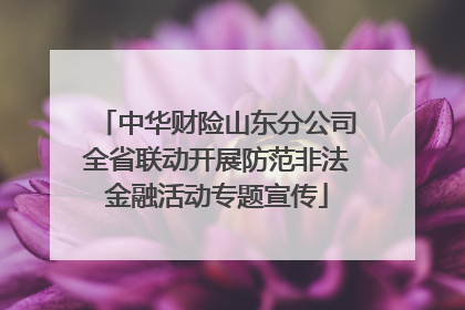 中华财险山东分公司全省联动开展防范非法金融活动专题宣传