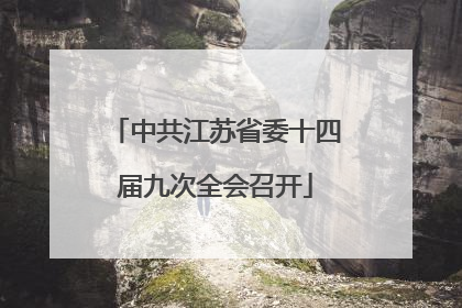 中共江苏省委十四届九次全会召开