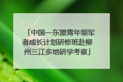 中国—东盟青年领军者成长计划研修班赴柳州三江多地研学考察