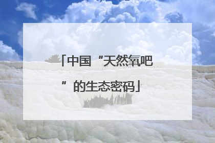 中国“天然氧吧”的生态密码