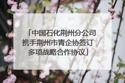 中国石化荆州分公司携手荆州市青企协签订多项战略合作协议