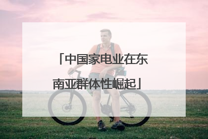 中国家电业在东南亚群体性崛起