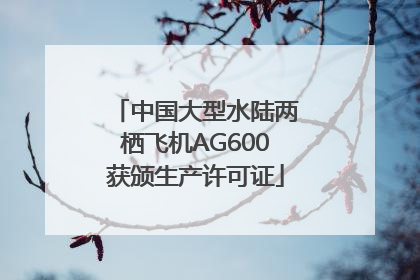 中国大型水陆两栖飞机AG600获颁生产许可证