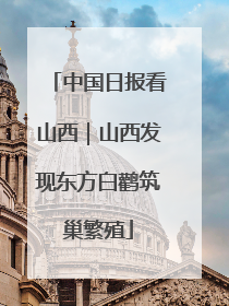 中国日报看山西｜山西发现东方白鹳筑巢繁殖