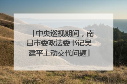 中央巡视期间，南昌市委政法委书记吴建平主动交代问题