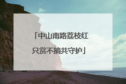 中山南路荔枝红 只赏不摘共守护